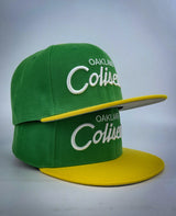 LDB Classic Coliseum Fitted