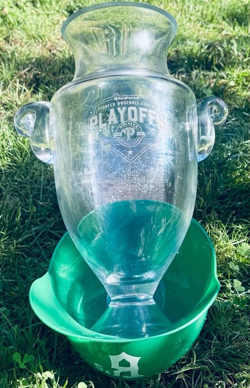 Championship In A Helmet Pin