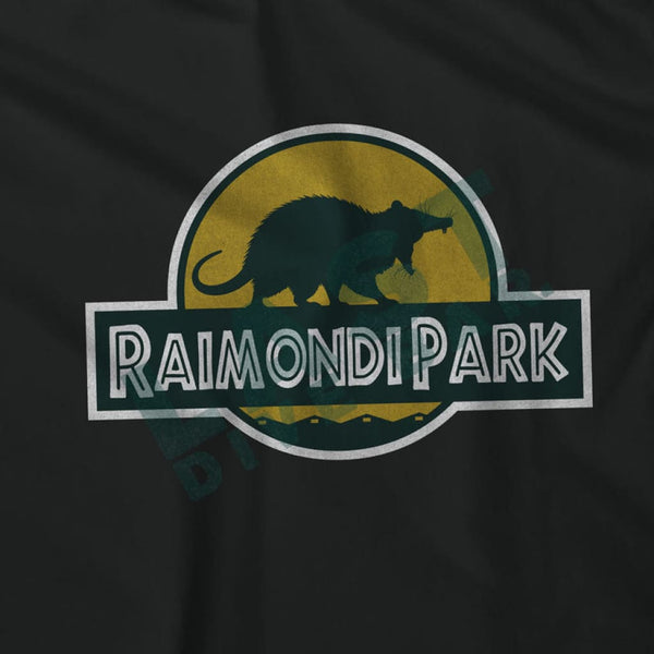 Raimondi Park Hoodie