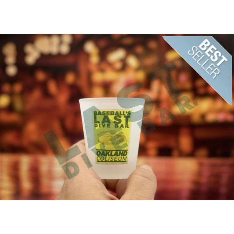 Last Dive Bar Frosted Shot Glass Individual